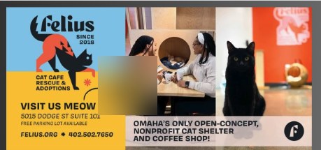Felius Cat Cafe advertisement sample in the Lincoln Local Spotlight mailer